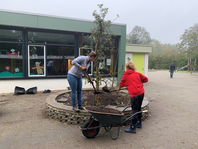 bomen planten 1